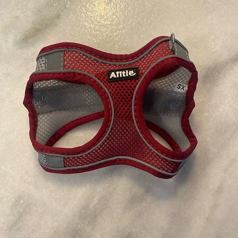 XS pet harness.